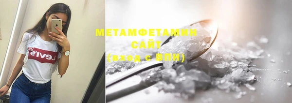 индика Костерёво