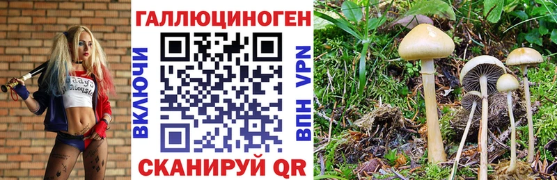 Галлюциногенные грибы Magic Shrooms  Купить закладки  Плавск 